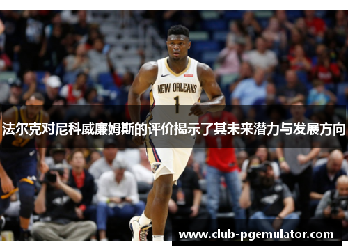 法尔克对尼科威廉姆斯的评价揭示了其未来潜力与发展方向