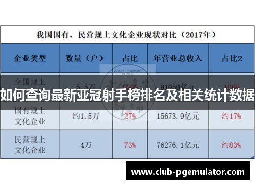 如何查询最新亚冠射手榜排名及相关统计数据