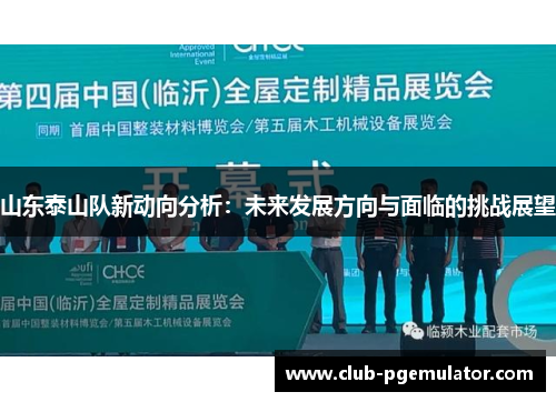 山东泰山队新动向分析：未来发展方向与面临的挑战展望