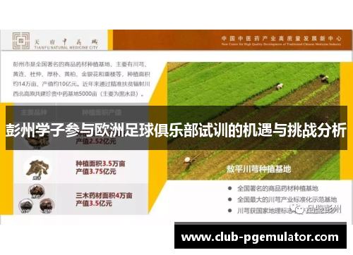 彭州学子参与欧洲足球俱乐部试训的机遇与挑战分析