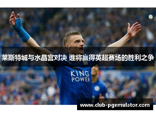 莱斯特城与水晶宫对决 谁将赢得英超赛场的胜利之争