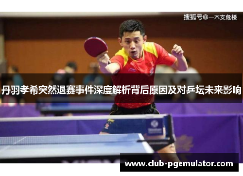 丹羽孝希突然退赛事件深度解析背后原因及对乒坛未来影响