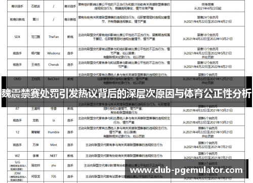 魏震禁赛处罚引发热议背后的深层次原因与体育公正性分析