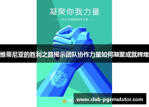 维蒂尼亚的胜利之路揭示团队协作力量如何凝聚成就辉煌 维蒂尼亚的胜利之路揭示团队协作力量如何凝聚成就辉煌