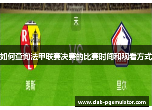 如何查询法甲联赛决赛的比赛时间和观看方式