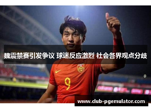 魏震禁赛引发争议 球迷反应激烈 社会各界观点分歧