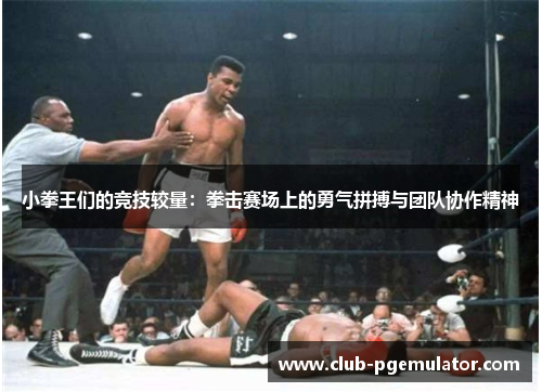 小拳王们的竞技较量：拳击赛场上的勇气拼搏与团队协作精神