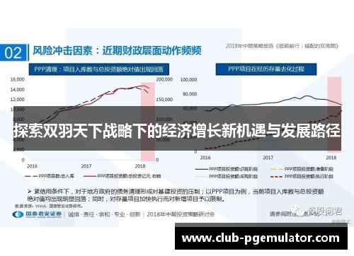 探索双羽天下战略下的经济增长新机遇与发展路径